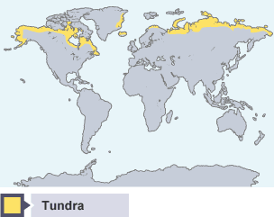 Far a bheil Tundra