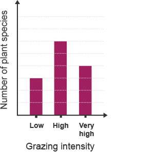 Only plants with adaptations can survive a very high grazing intensity. Bar chart with number of plant species on the y axis and grazing intensity on the x axis. Bar one is low grazing intensity, it goes one third of the way up the y axis.  The second is high intensity it goes two thirds of the way up the y axis and third is very high intensity, it goes halfway up the y axis.