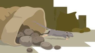 A rat escaping from a bag of potatoes