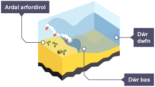 Pan fydd y tonnau’n cyrraedd dŵr mwy bas nes at yr arfordir, mae uchder y tonnau’n cynyddu ac yn torri.
