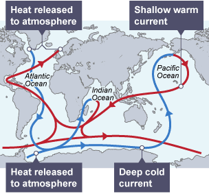 The world’s ocean conveyor belt system (Global Thermohaline Cycle). The UK receives a warm current of water called the North Atlantic Drift.