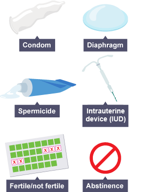 A visual to show the different types of non-hormonal methods of contraception