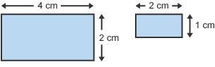 Dau betryal. Un 4 cm wrth 2 cm, y llall 2 cm wrth 1 cm