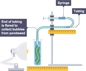 A diagram showing and experiment of the volume of oxygen.