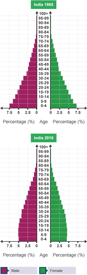 India's population pyramid in 1985 looked triangular with more babies than children or adults. In 2015 the percentage of children under 15 has decreased.