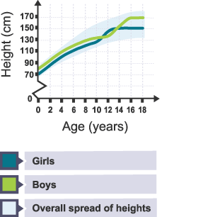 A graph to show the different growth rates between boys and girls.