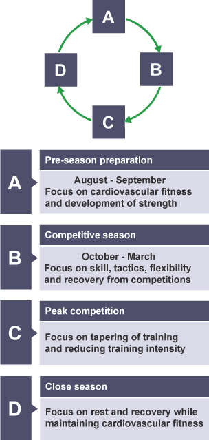 The cycle of a training year, including pre-season preparation, competitive season, peak competition and close season.