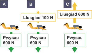 Tri deifiwr wedi’i labelu ag A, B a C. Mae pob deifiwr yn pwyso 600 Newton. Y llusgiad ar A yw 0, y llusgiad ar B yw 100 Newton, a’r llusgiad ar C yw 600 Newton.