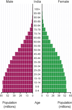 A population pyramid showing the percentages of the people living in India