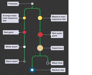 The different stages in the life cycle of a star.