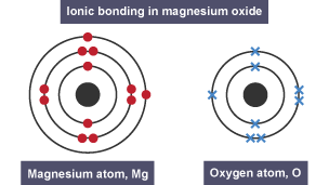 Structure of a magnesium atom and an oxygen atom.