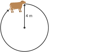 A cow is tethered to a post with a rope of length 4m. It walks around the post with the rope pulled tight. The cow's path is a circle of radius 4m .