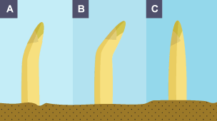 The diagram shows the results.