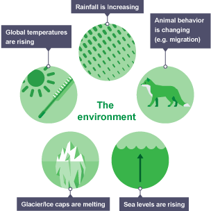 Representation of various effects on the environment, rainfall, temperatures etc.