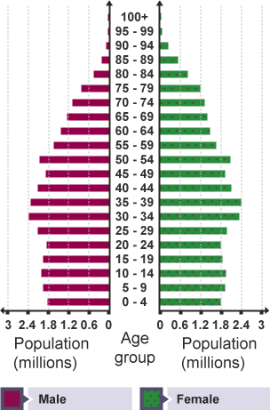 Population pyramid showing the number of people, their ages, number of males and number of females.