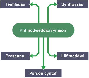 Siart corryn i gynrychioli prif nodweddion ymson.