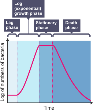 Graph charting growth of microbes