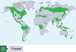 World map showing areas of forest in 2000 CE