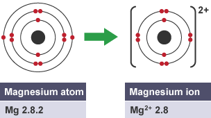 A magnesium atom next to a magnesium ion. The ion shows that the atom has lost its two outer electrons