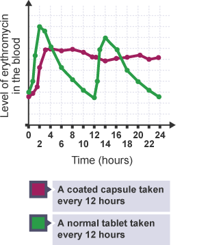 Graph showing levels of erythromycin in the blood stream
